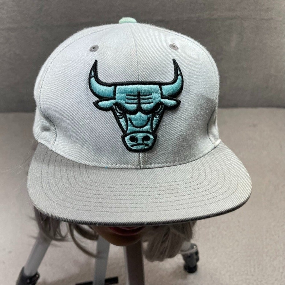 Chicago Bulls Hat Cap Snap Back Adjustable Grey Teal Streetwear Retro Rare NBA